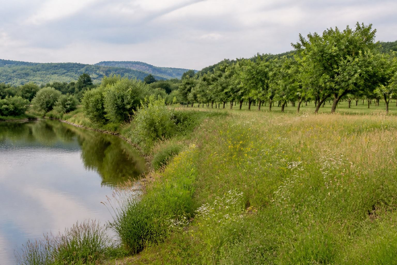 Gemischte Frankenlandschaft aus Fluss, Garten und Feld