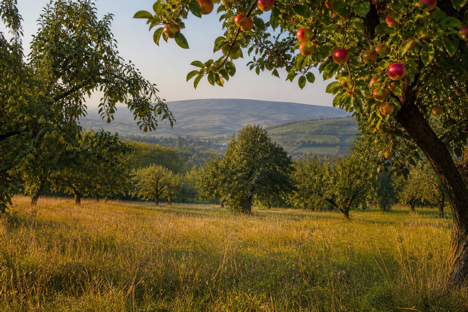 Saisonaler Obstgarten mit weichem Herbstlicht